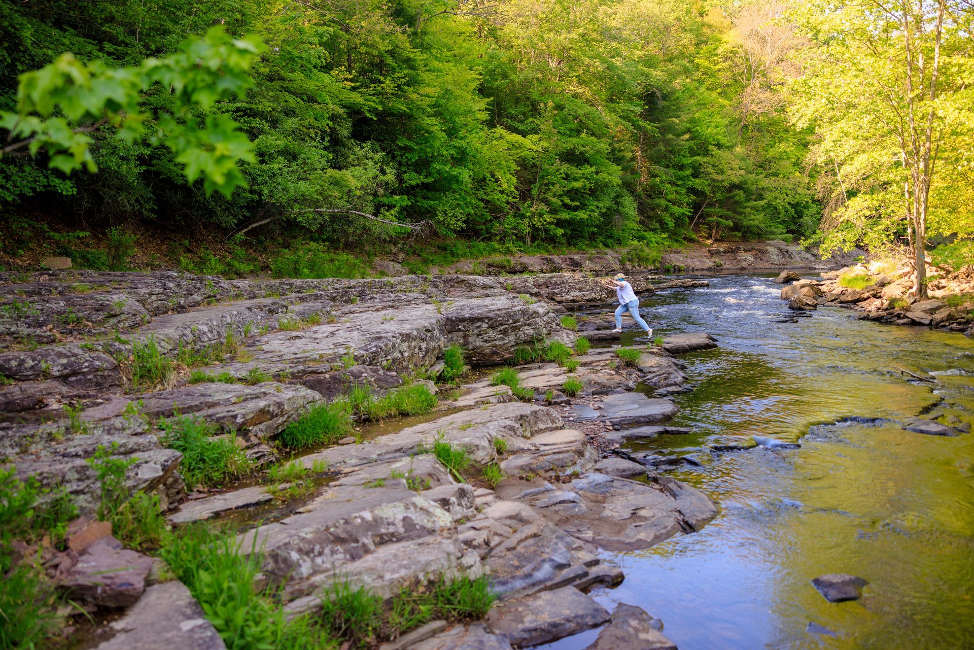 Person stepping across rocks in a shallow stream with green foliage and trees. Sunny day.