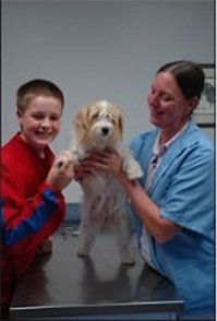Boy with Vet and Dog