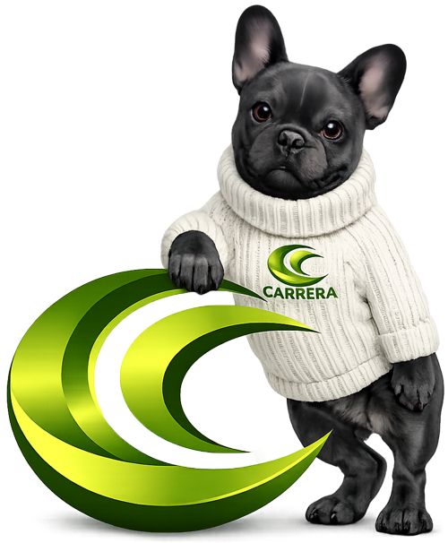 Carrera Insurance Services, Inc.