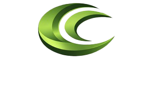 Carrera Insurance Services, Inc.