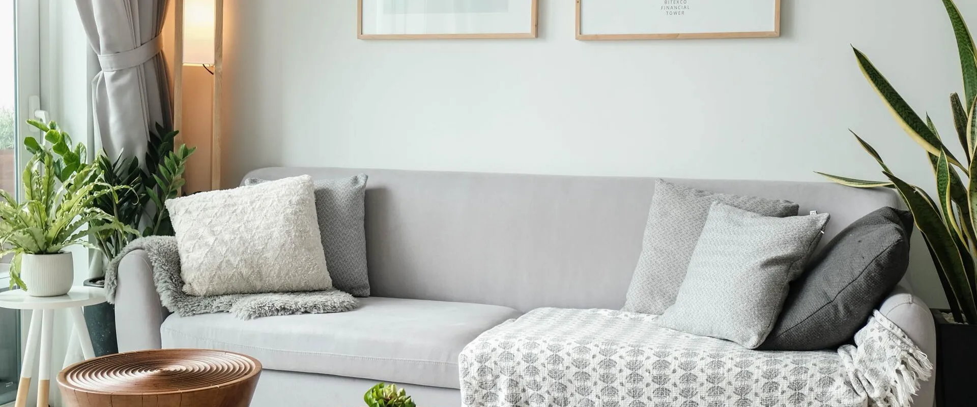 A living room with a couch , coffee table , and plants.