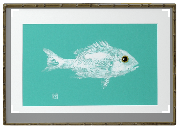 A framed picture of a fish on a blue background.