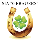 Grāmatvedības pakalpojumi