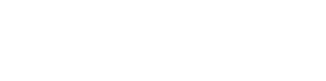 Capital Region Integrative Health logo