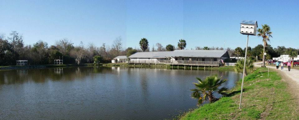 a large body of water surrounded by buildings and palm trees