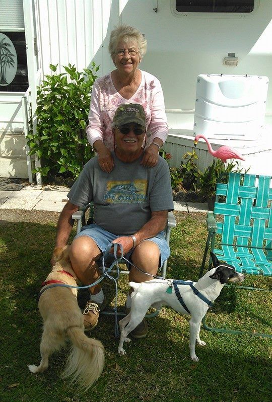a man wearing a shirt that says florida is sitting in a chair with two dogs