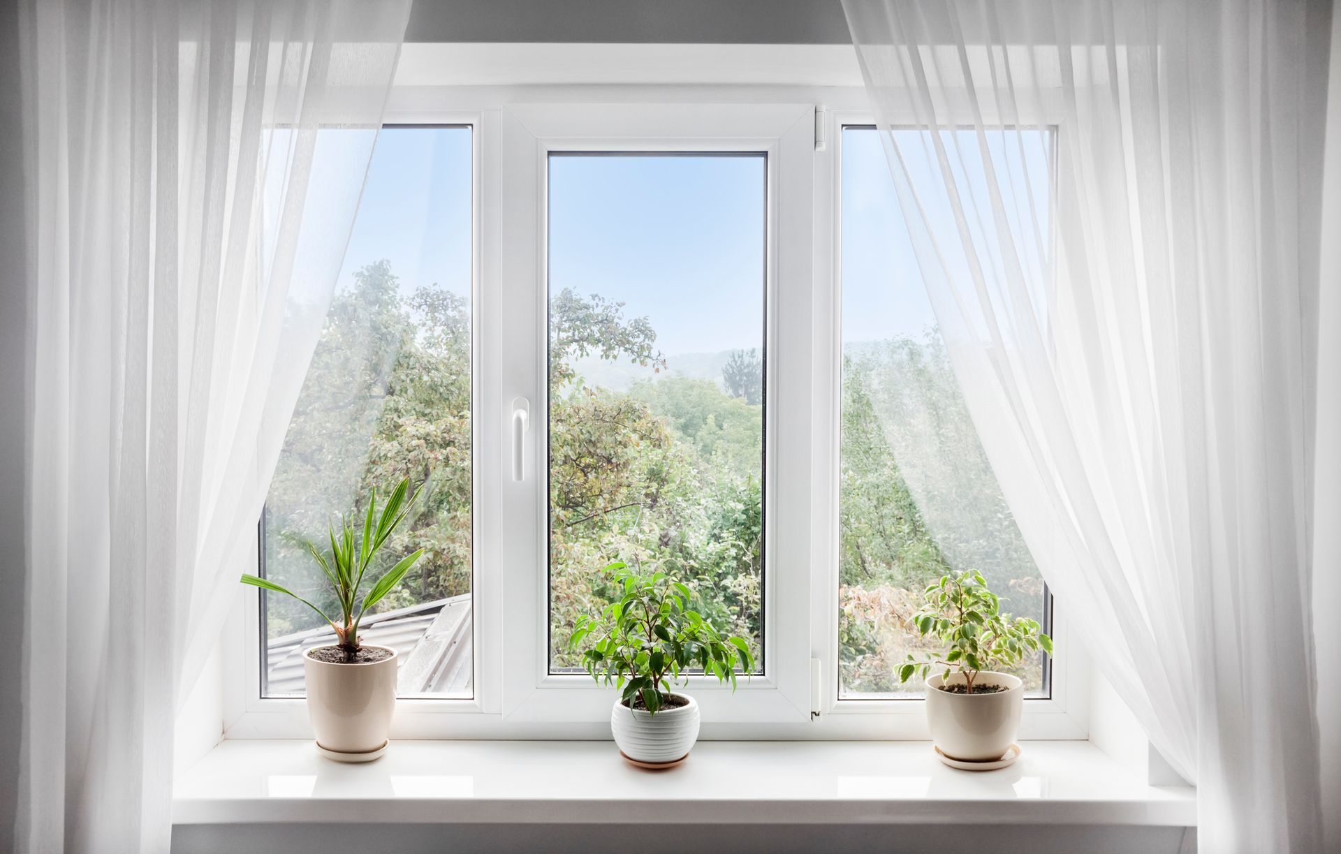 Image of potted plants on windowsill with curtains and leafy view beyond. Image of potted plants on windowsill with curtains and leafy view beyond.