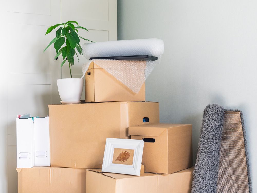 A pile of cardboard boxes in a room with a plant and a picture frame. — Wide Bay Removals In Dundowran, QLD