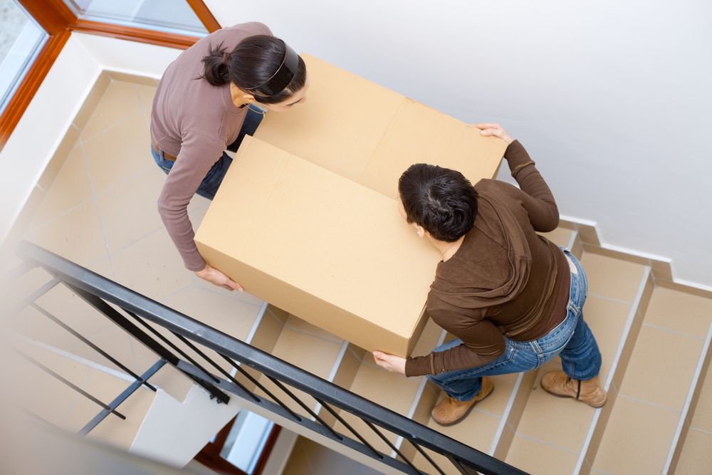 A Man and a Woman Are Carrying a Cardboard Box Up a Set of Stairs — Wide Bay Removals In Dundowran, QLD A Man and a Woman Are Carrying a Cardboard Box Up a Set of Stairs — Wide Bay Removals In Dundowran, QLD