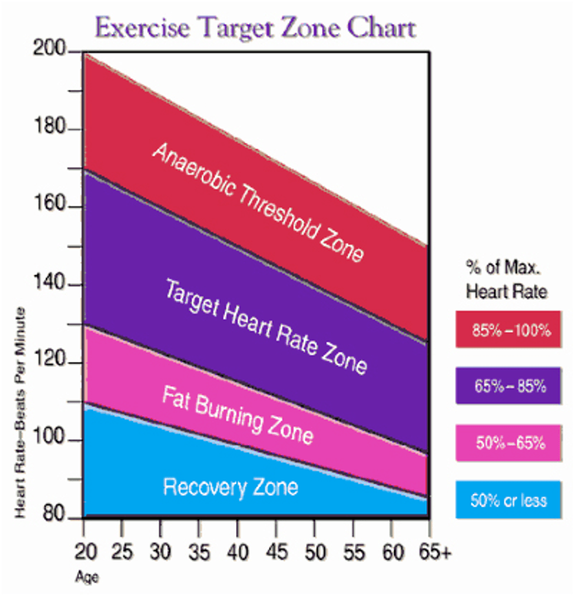 Zone Training To Improve Aerobic Endurance Cycling Training Zones