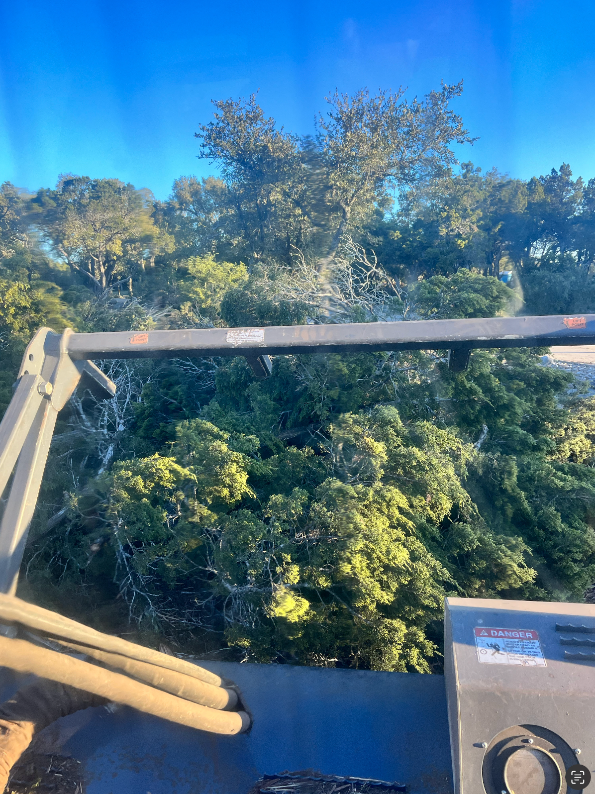 a view of a forest from the inside of a vehicle .
