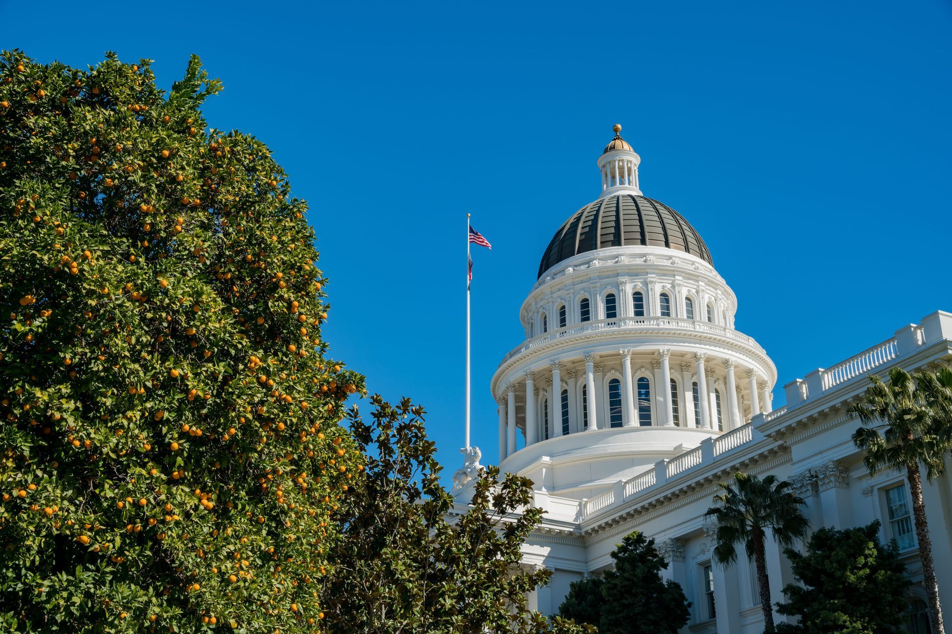 California State Capitol dome with flag, framed by green trees under a clear blue sky