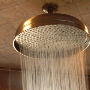 A showerhead | plumbing services