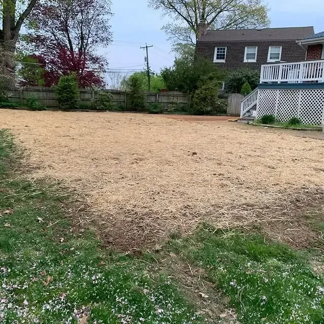 A large empty yard with a house in the background
