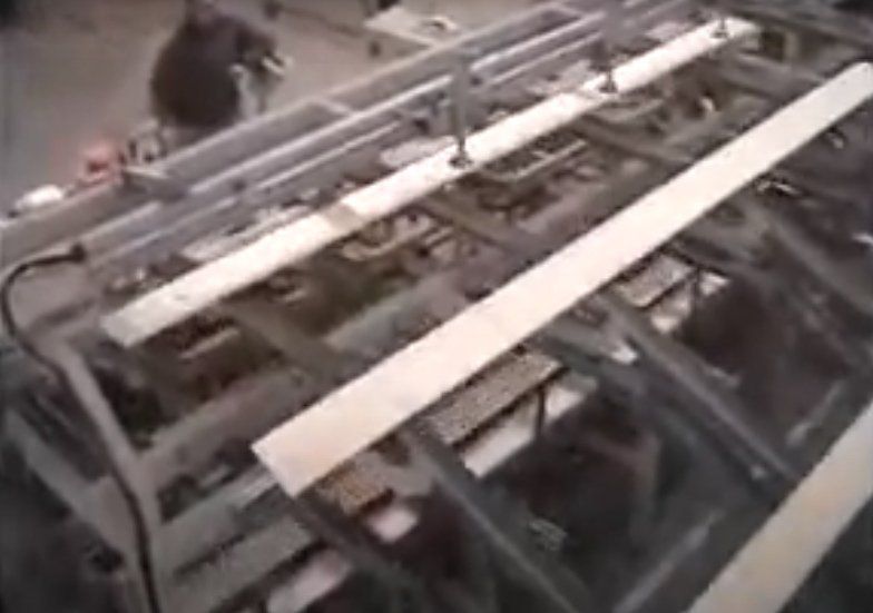 Transfer dopo scorniciatrice con scaricatore automatico