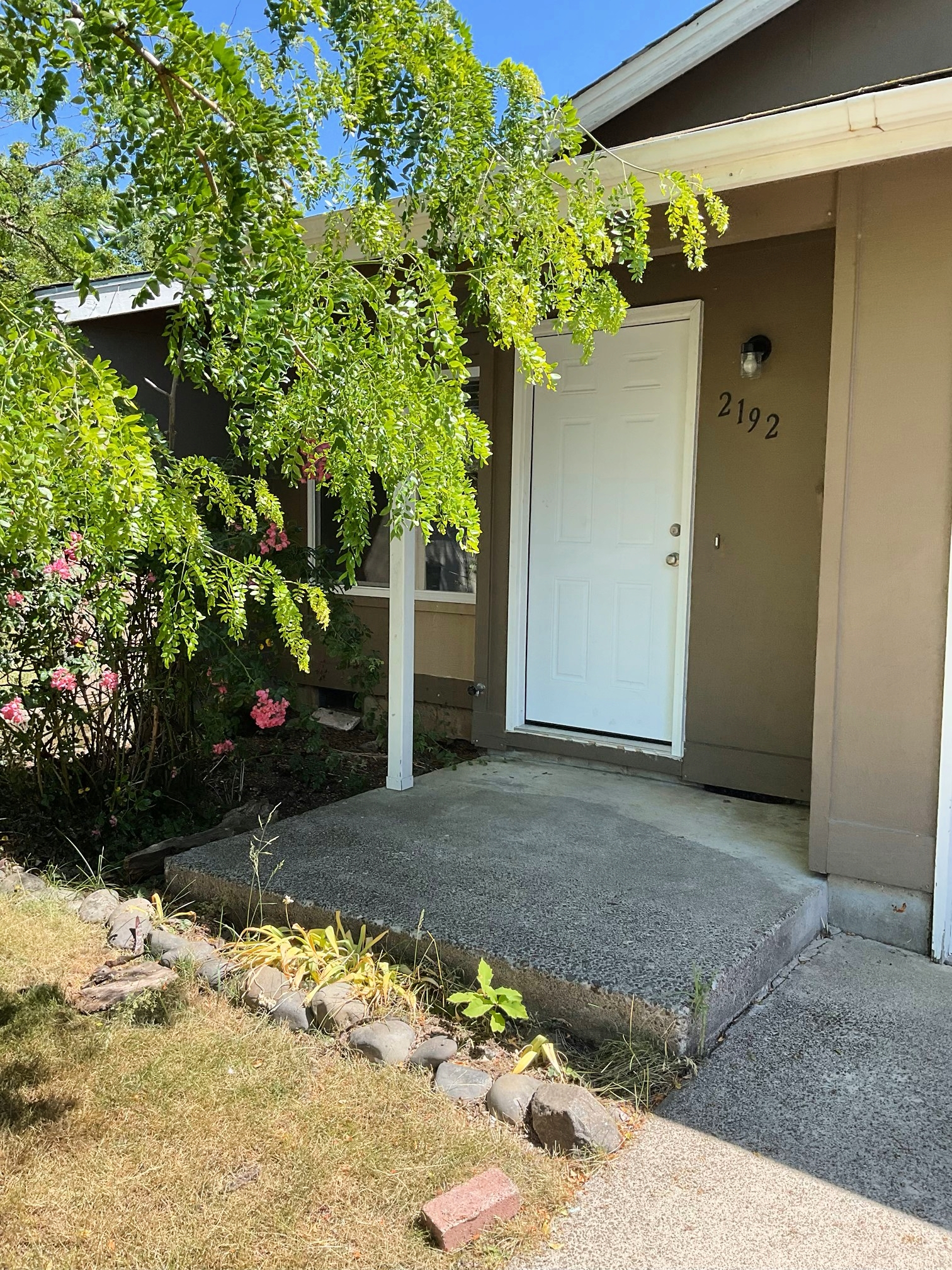 Tan house with white door, concrete ramp, and overgrown greenery in front.