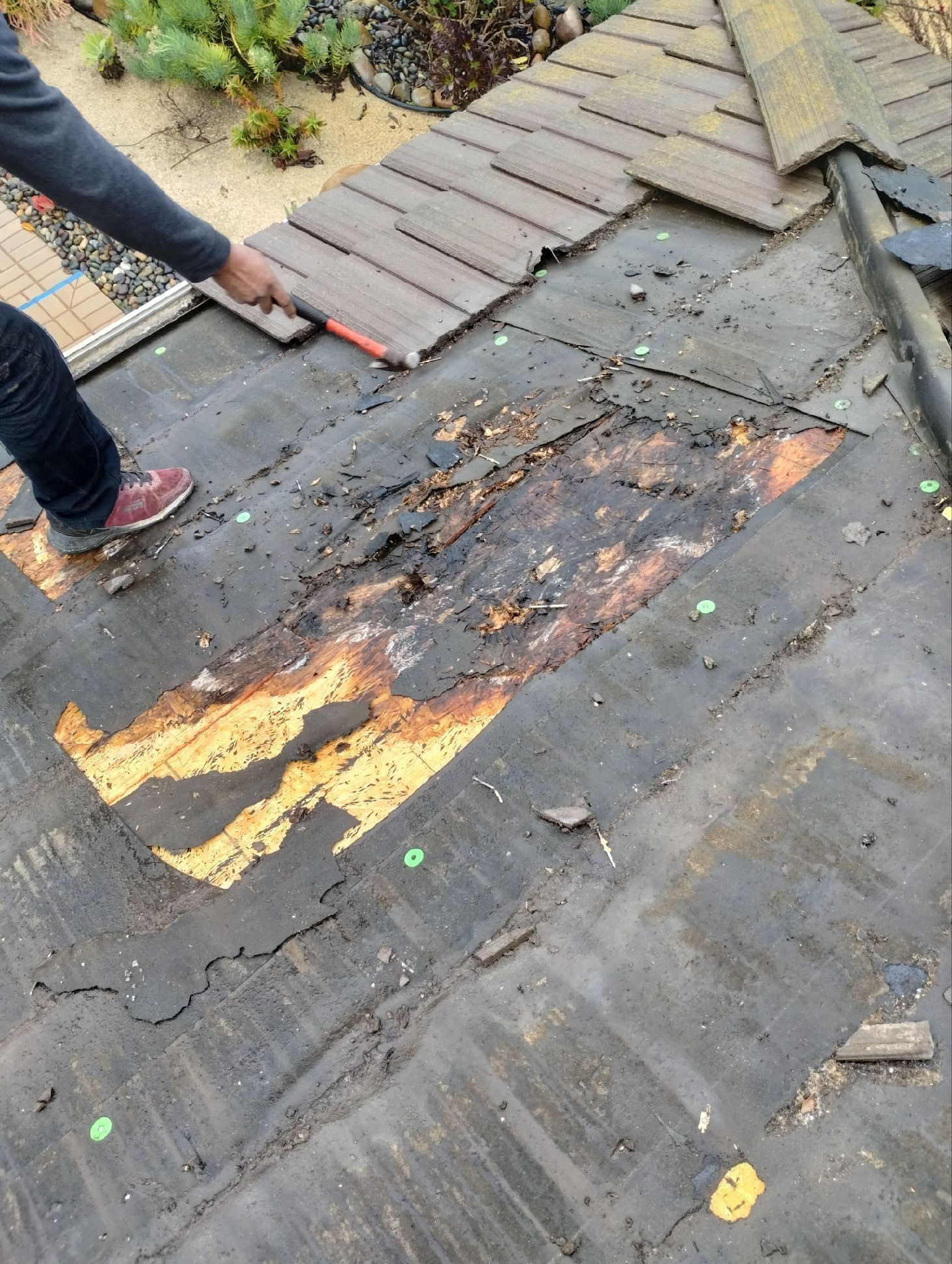 A person on a roof uses a tool to remove damaged shingles, revealing water-stained wooden decking underneath.