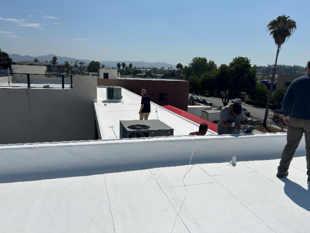 Three people working on a white flat roof on a sunny day with a palm tree and cityscape in the background.