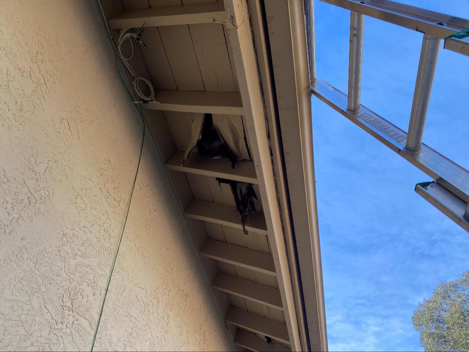 A damaged roof soffit with a hole and exposed interior framing, viewed from below with an extension ladder to the right.