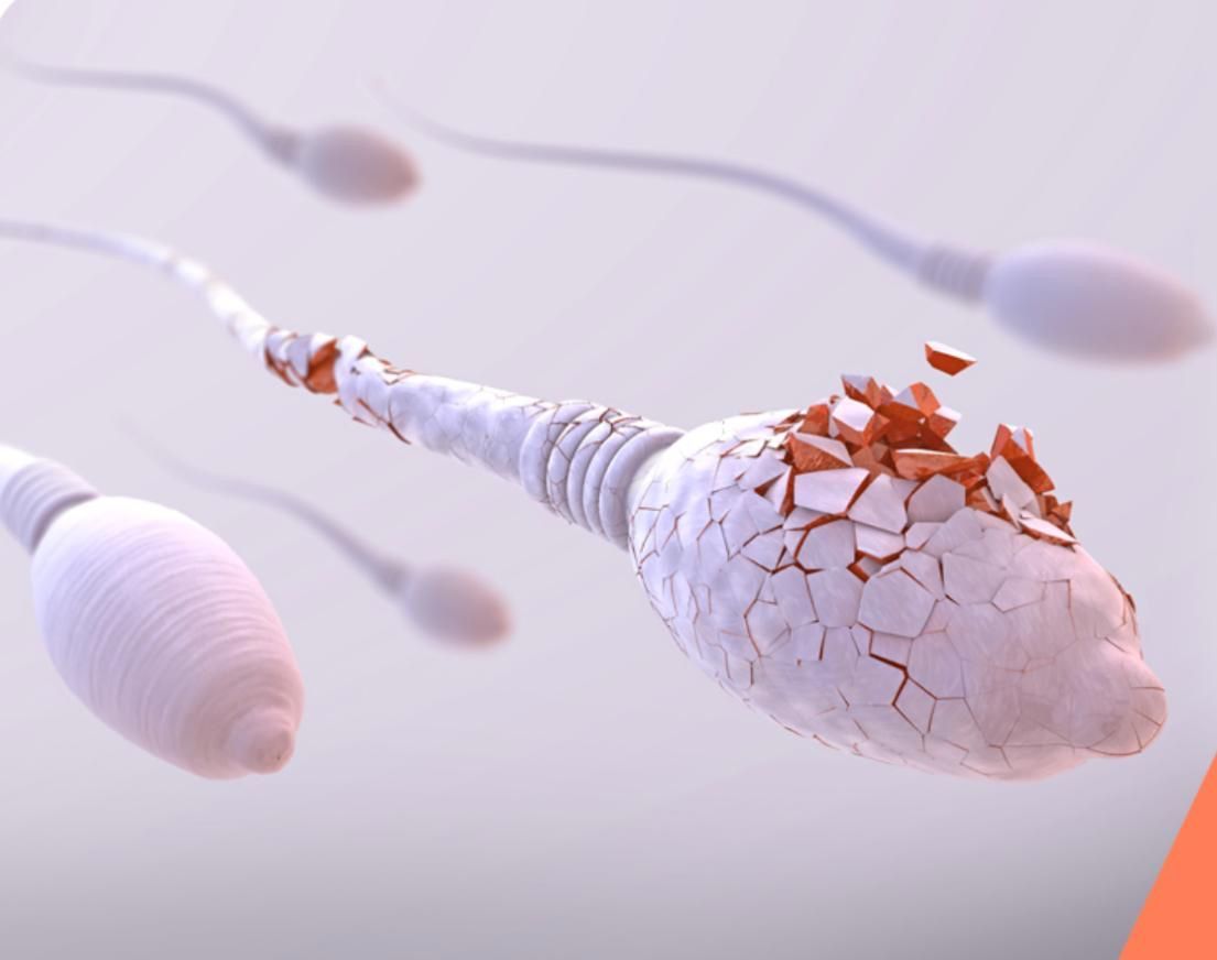 Infertilidade Masculina