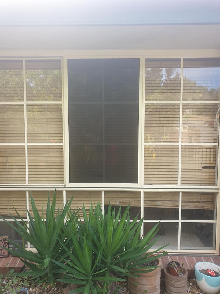 IntrudaGuard Window Screens — Window Screens in Gold Coast, QLD