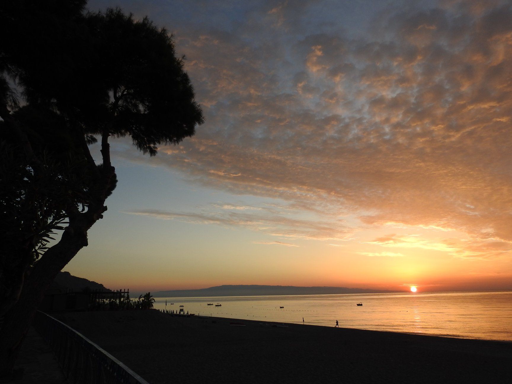 Un tramonto su uno specchio d'acqua con un albero in primo piano