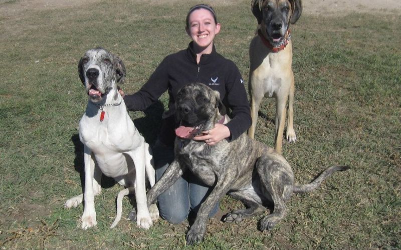 A woman is kneeling down with three dogs in a field.