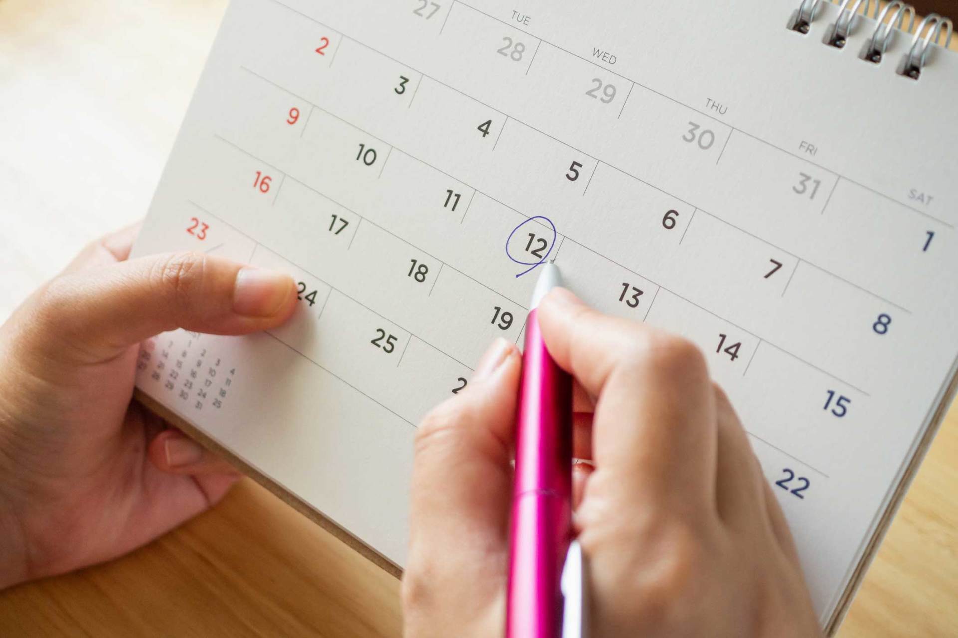 Probate Law — Saving The Date On The Calendar In Clearwater, FL