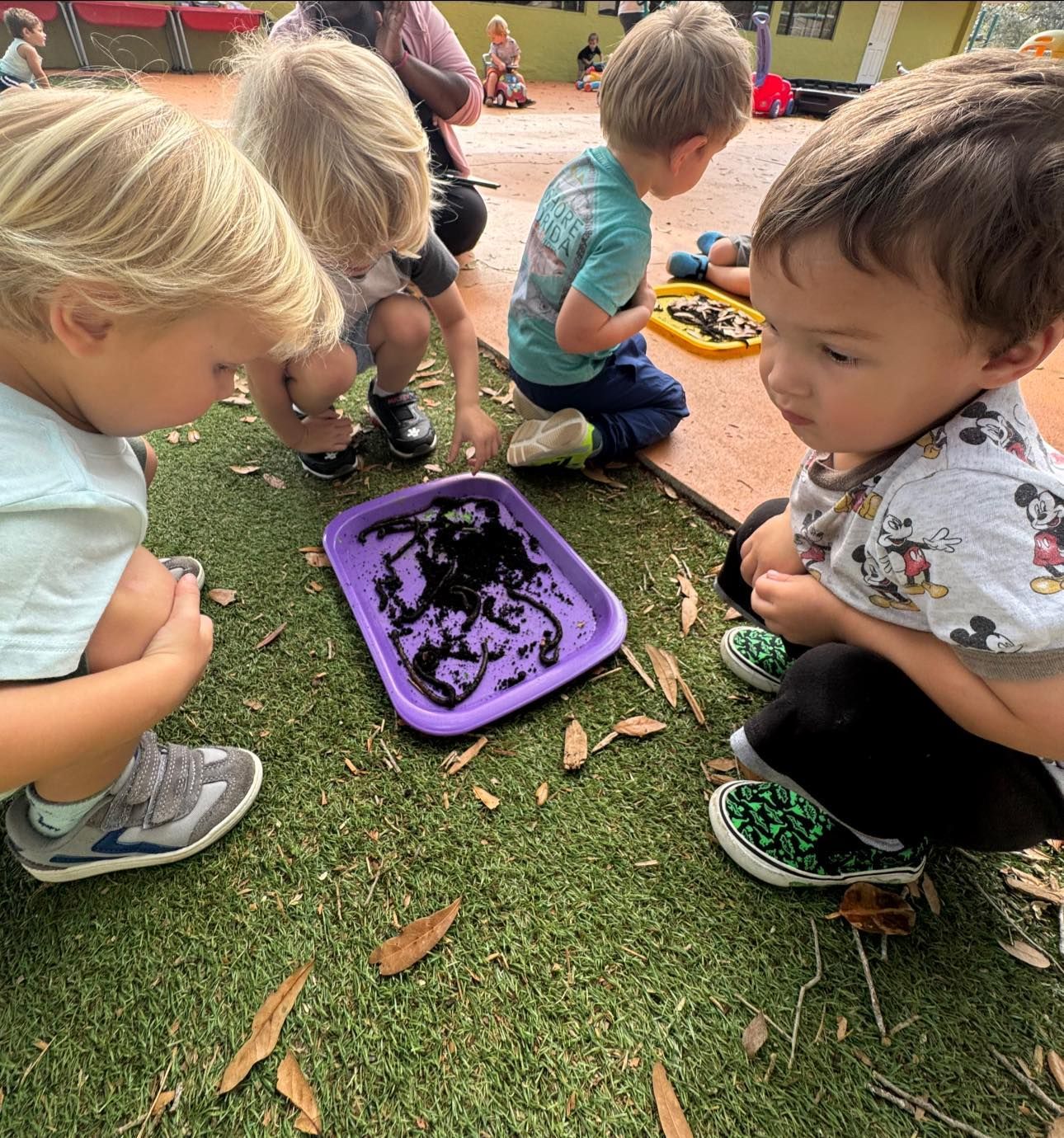 Children looking down at a purple tray with black material on the ground, outside.