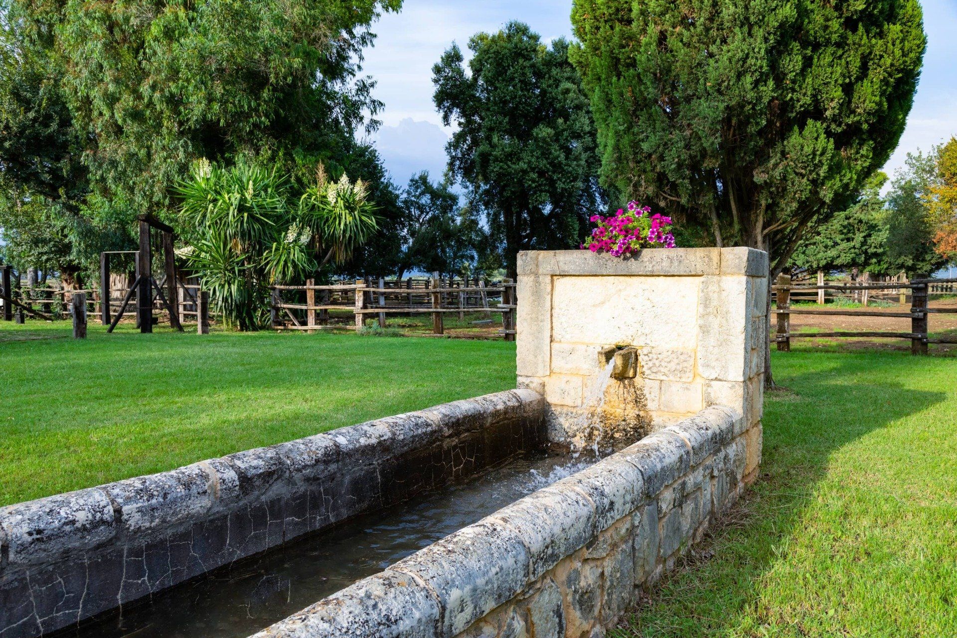 Fontana immersa nel verde