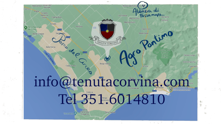 Mappa della zona