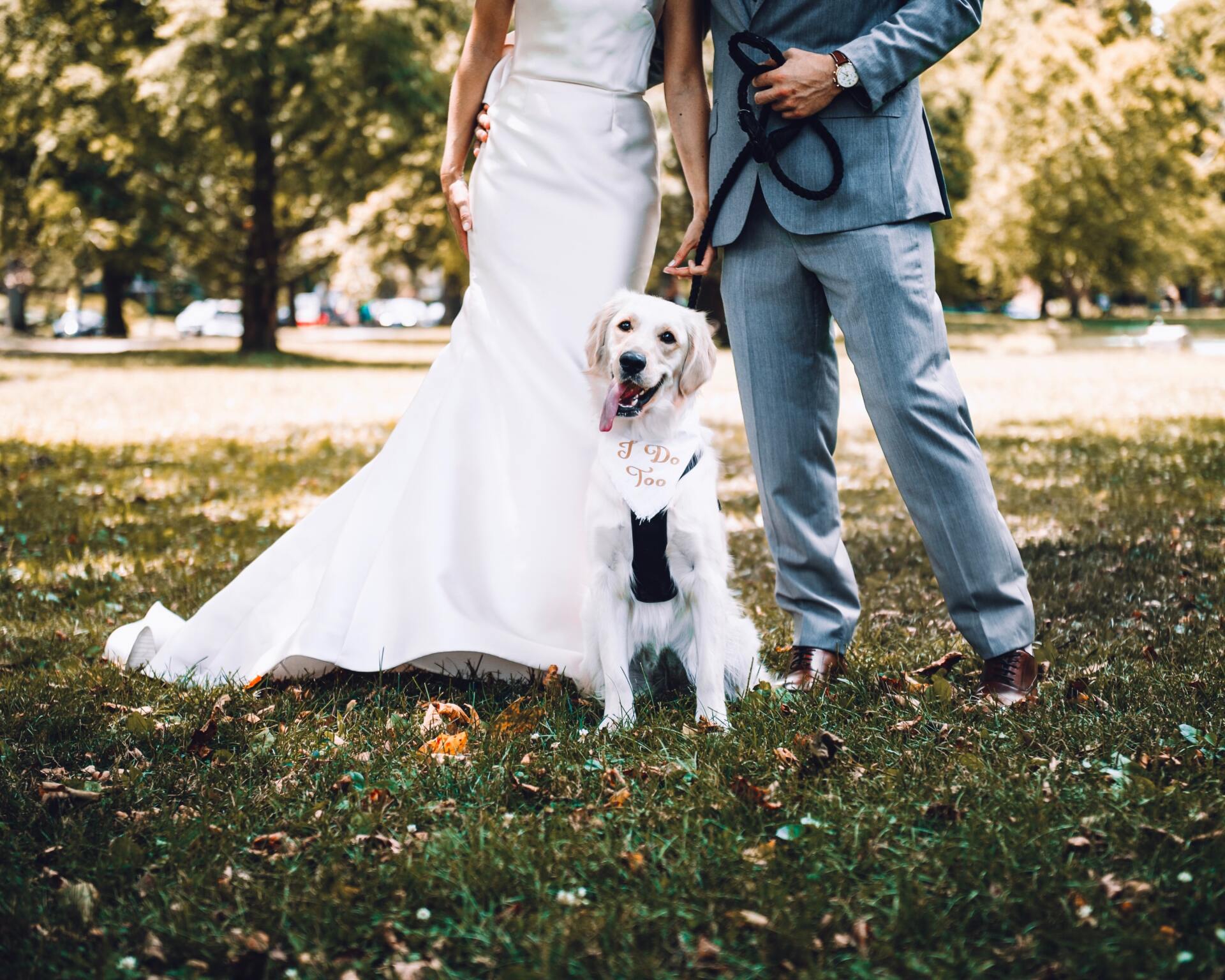 Sposi con cane al guinzaglio