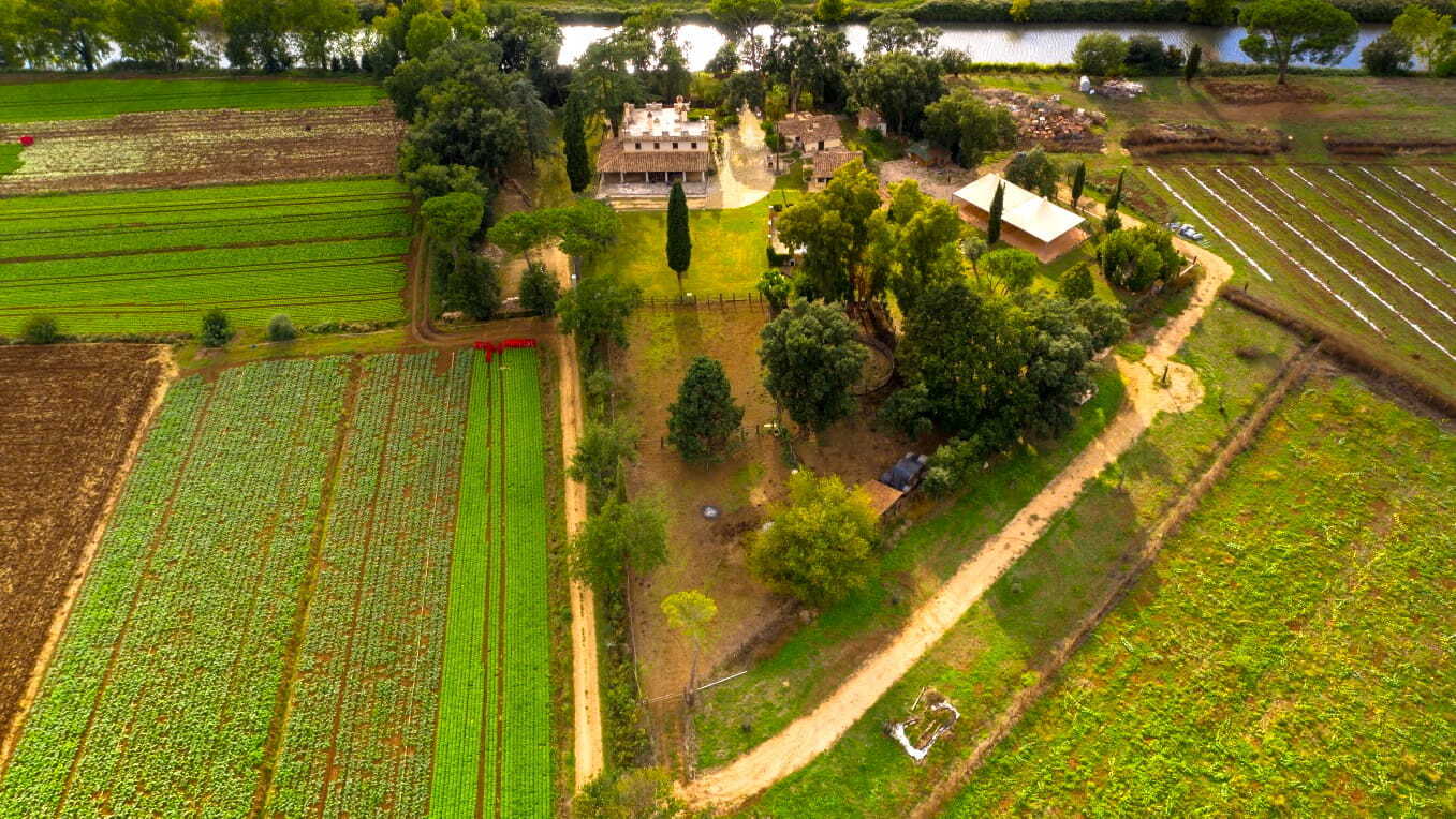 Veduta dall'alto del parco e Tenuta