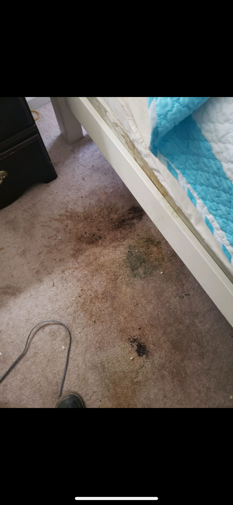 Carpet Cleaning Augusta, GA