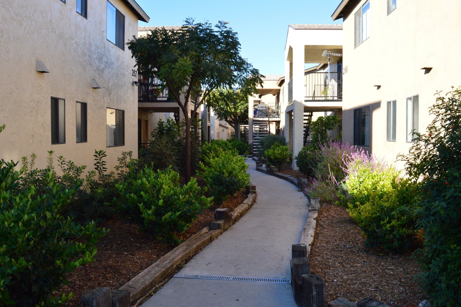 A walkway lined with bushes between the buildings at Park Haven Apartments