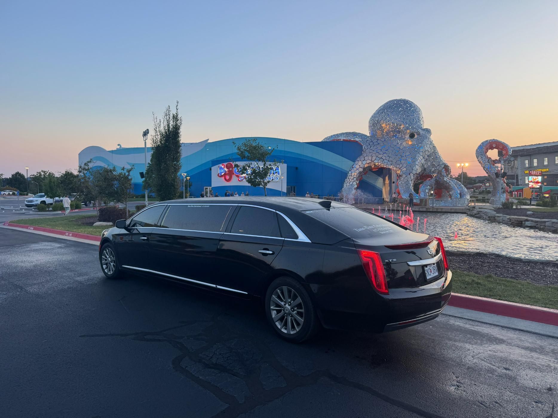 Black limousine parked in front of a blue building with an octopus sculpture.