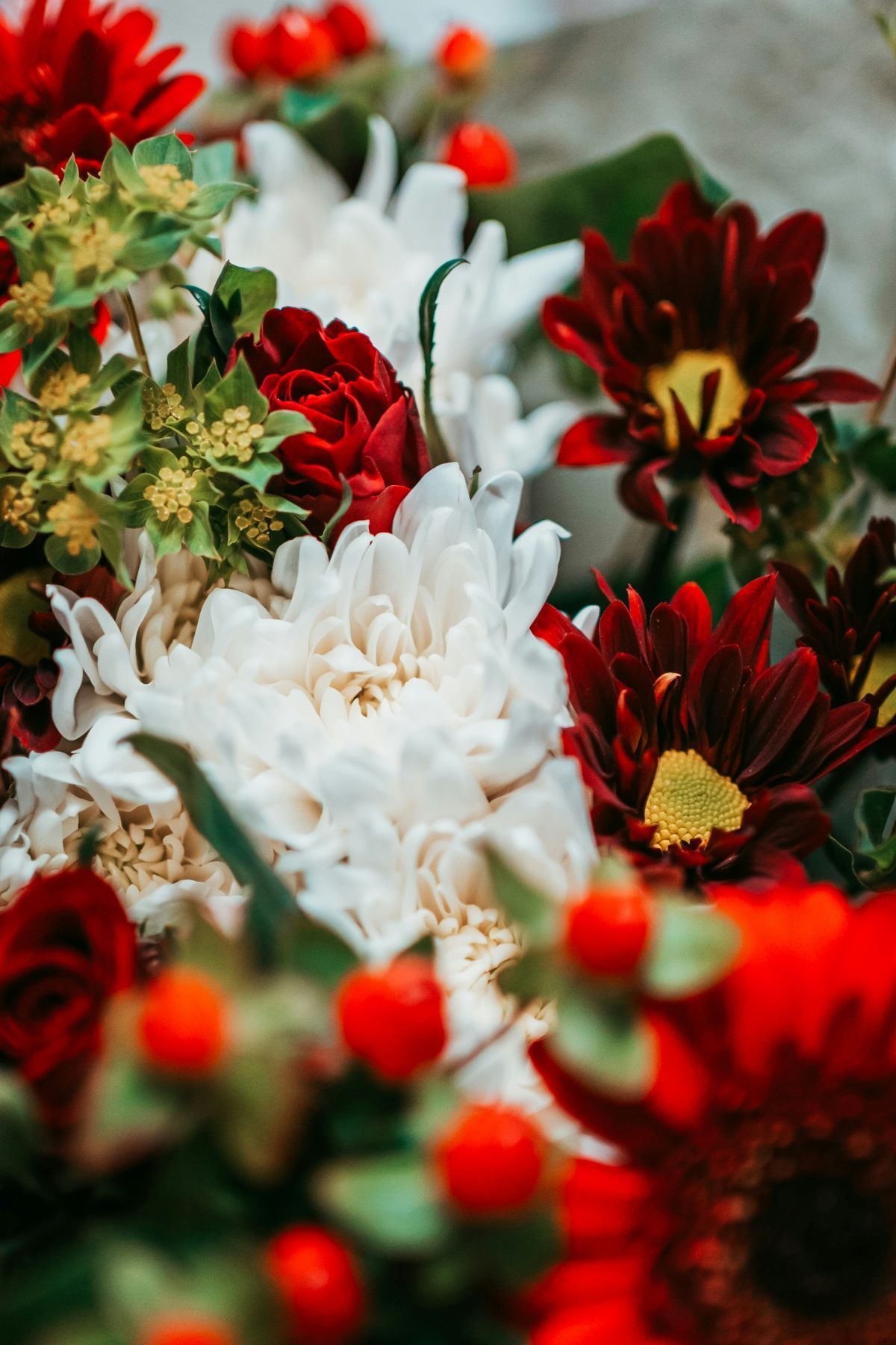 A close up of a bouquet of red and white flowers.