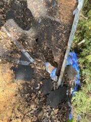 A shovel is being used to dig a hole in the ground.