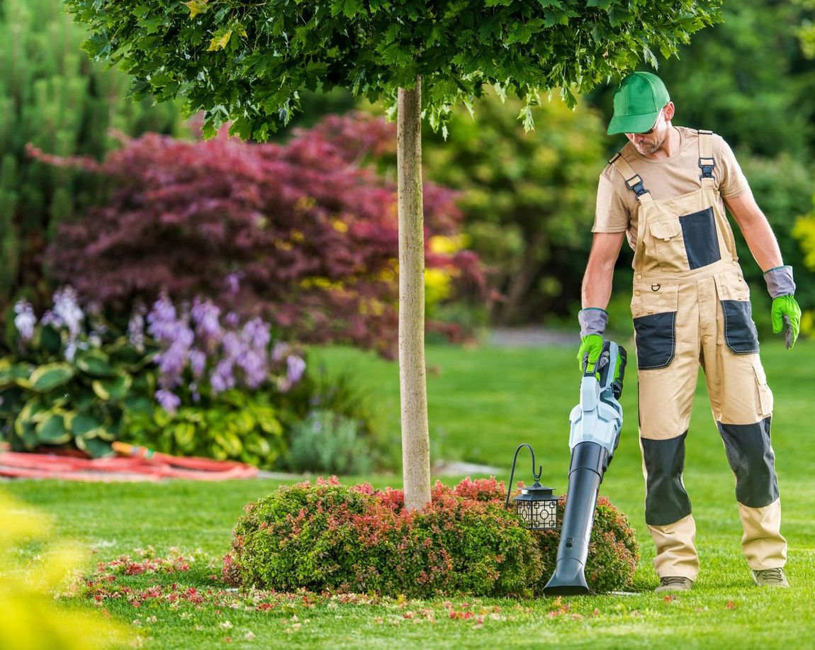 An image of Lawn Care Service and Maintenance in Clifton, NJ