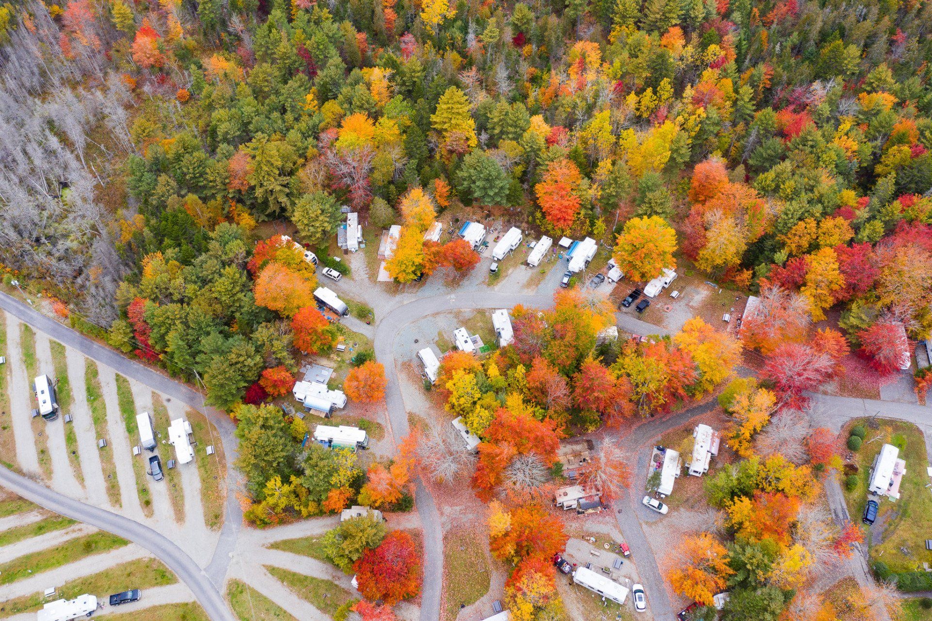 Escape to the Maine Woods: Your Guide to Timberland Acres RV Park