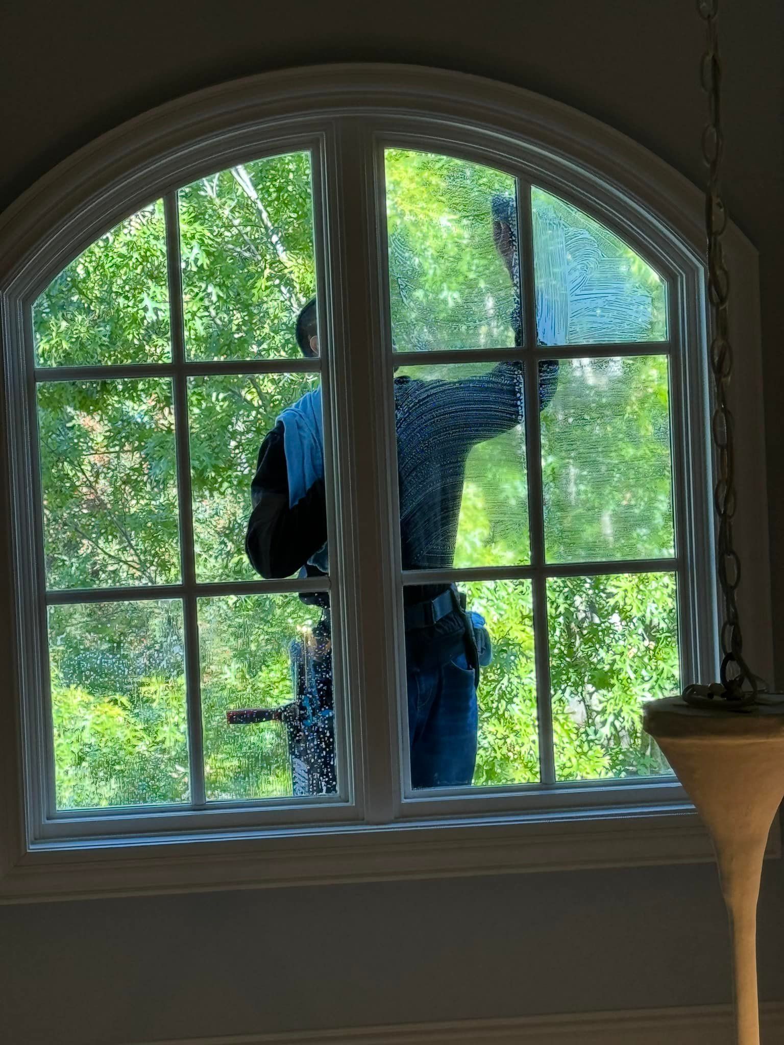 Person cleaning a window with a squeegee; green trees visible through the glass.