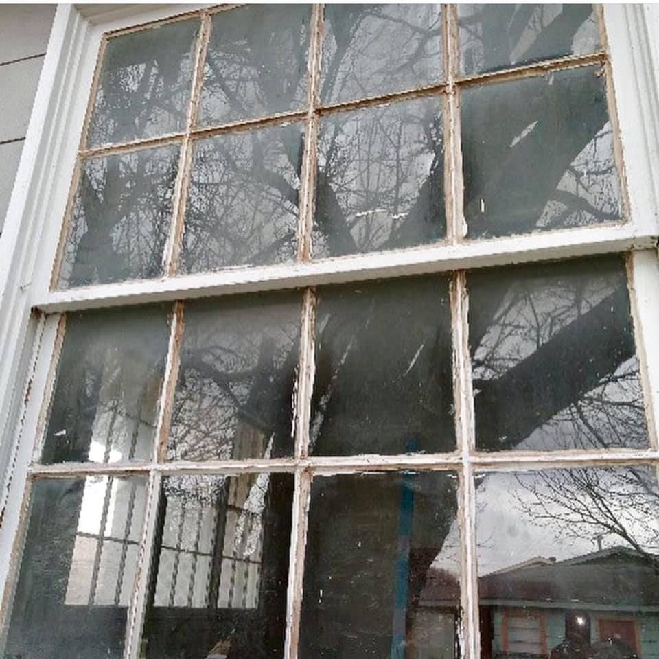 Old white-framed window with multiple panes. The glass is dirty, and tree branches are reflected in it.