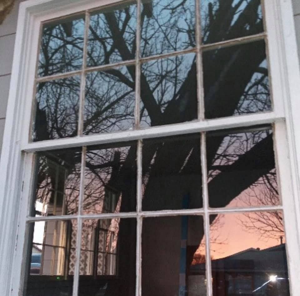 Window reflecting a bare tree against a sunset, with surrounding buildings and sky.