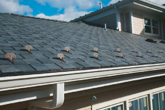 Gray asphalt shingle roof with several small, brown, decorative vents. White gutter below.