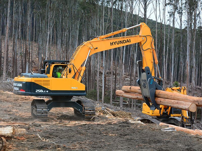 A hyundai excavator is carrying logs in a forest.