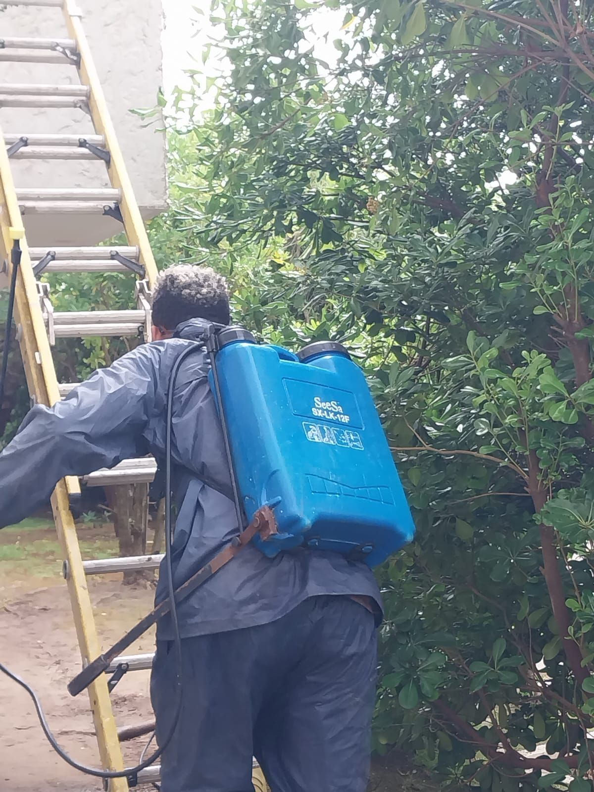 MultiServicios en Maldonado