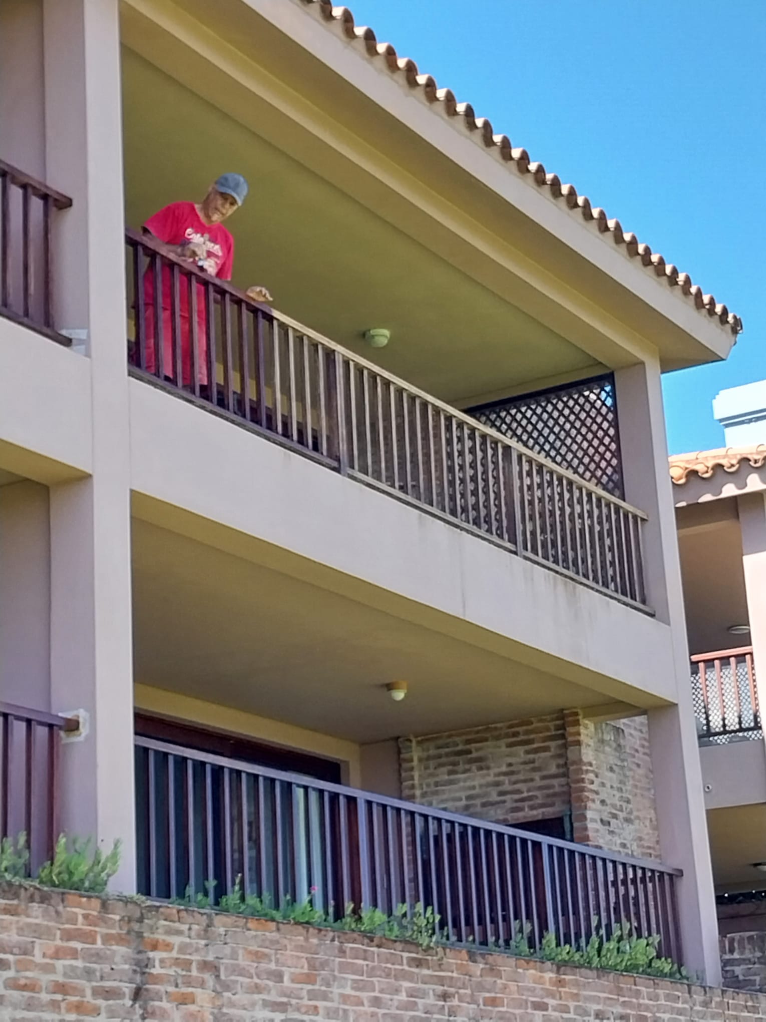 MultiServicios en Maldonado