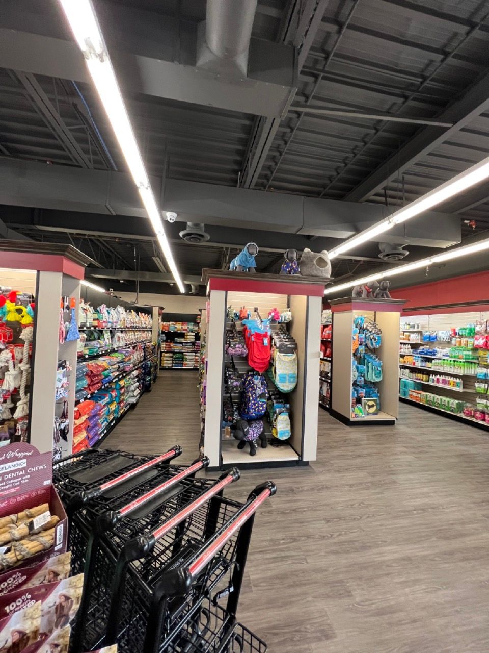 A row of shopping carts are lined up in a store.