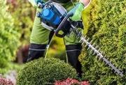 gold-country-power-trimmers-img