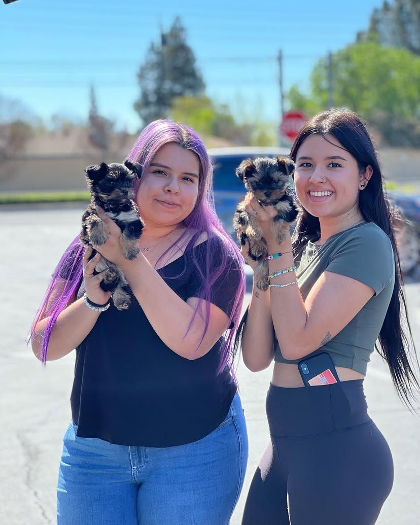 Two women are holding puppies in their hands in a parking lot.